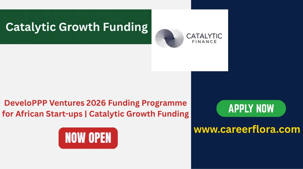 DeveloPPP Ventures 2026 Funding Programme for African Start-ups | Catalytic Growth Funding