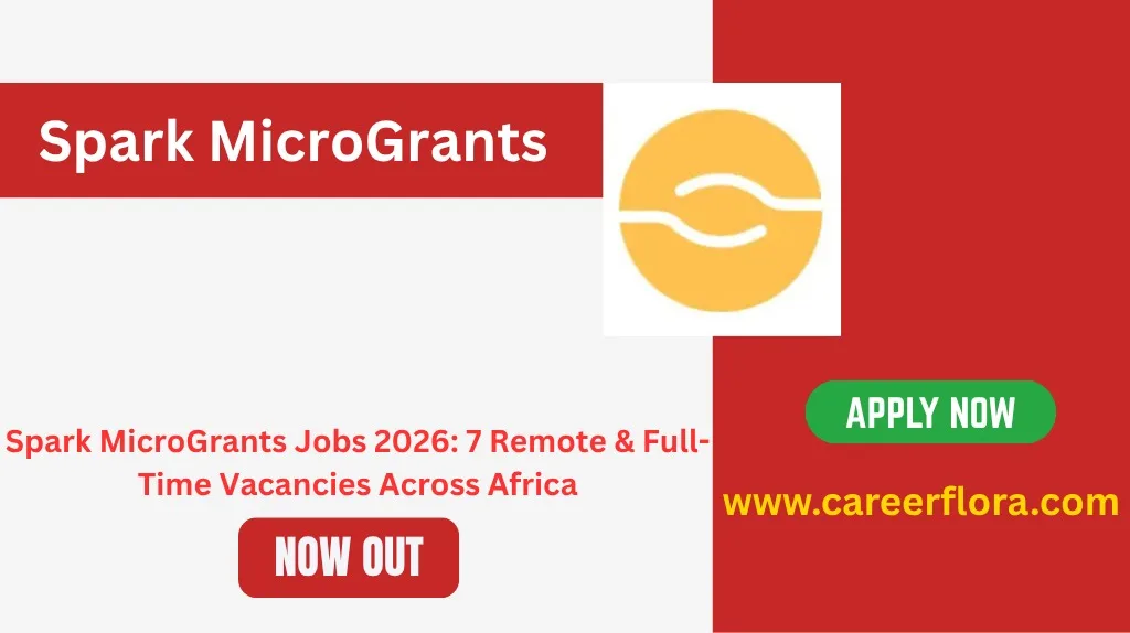 Spark MicroGrants Jobs 2026: 7 Remote & Full-Time Vacancies Across Africa