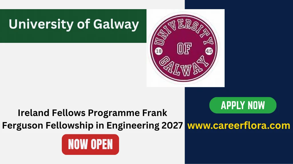 Ireland Fellows Programme Frank Ferguson Fellowship in Engineering 2027