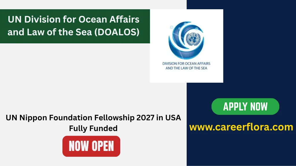 UN Nippon Foundation Fellowship 2027