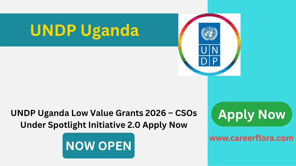 UNDP Uganda Low Value Grants 2026