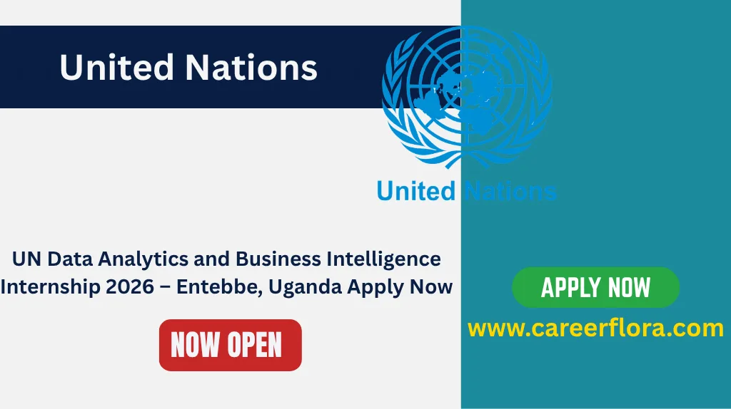 UN Data Analytics Internship 2026