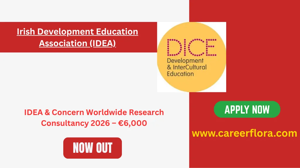 IDEA & Concern Worldwide Research Consultancy 2026 – €6,000