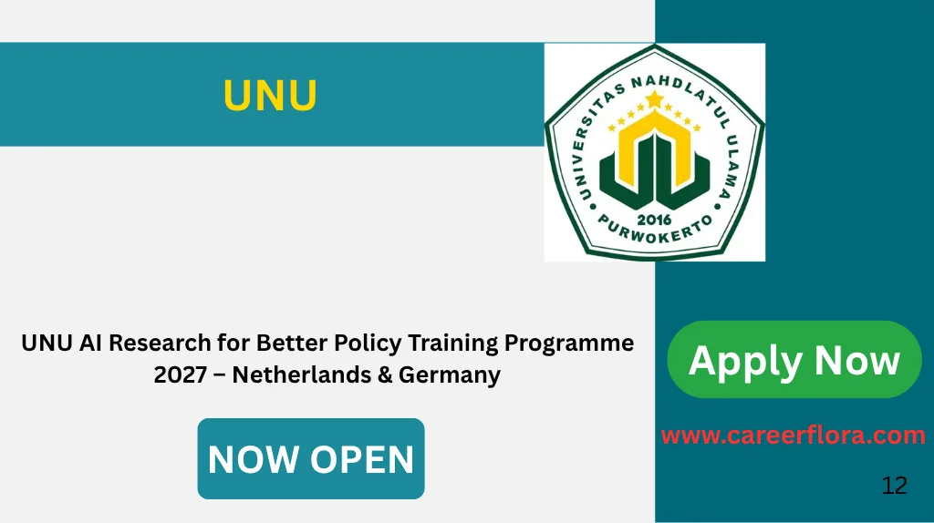 UNU AI Research for Better Policy Programme 2027