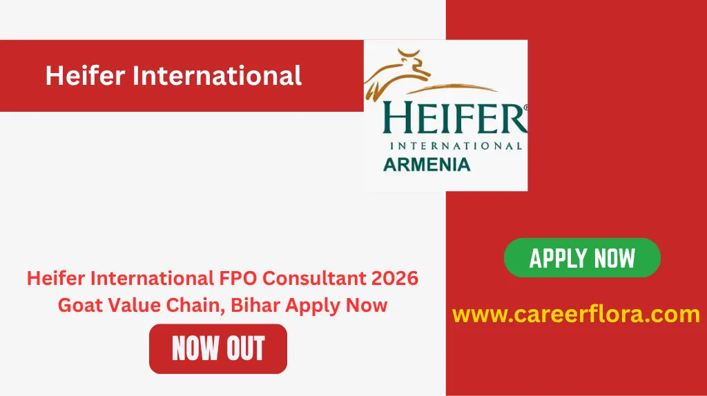Heifer International Consultant 2026