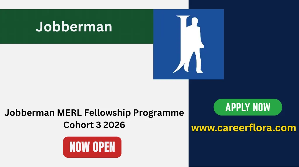 Jobberman MERL Fellowship