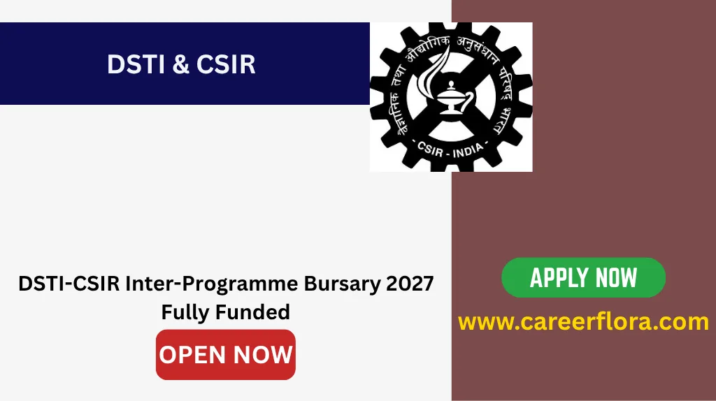 DSTI-CSIR Inter-Programme Bursary 2027
